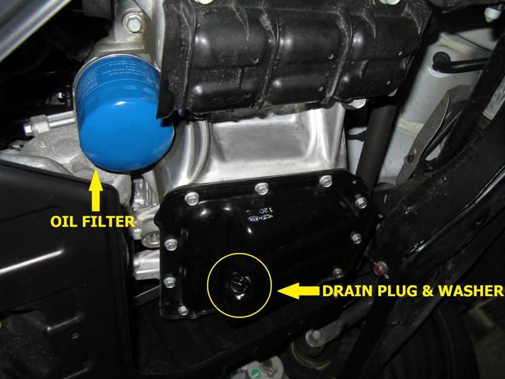 Basic Oil Change w/ Pics Veloster Forum